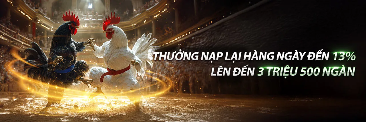 Đá gà trực tiếp Thomo 188 tại sàn đấu kịch tính